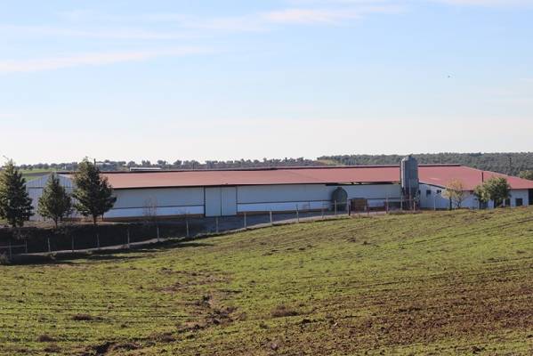 Landbouw-object te koop in Portugal - Beja - Vidigueira -  420.000