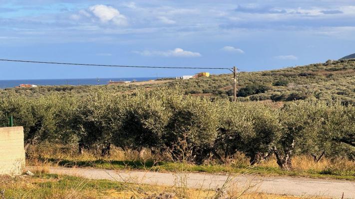 Land for sale in Greece - Crete (Kreta) - Chania -  100.000