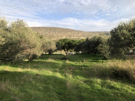 Land for sale in Greece - Crete (Kreta) - ANOPOLI HERAKLION -  110.000