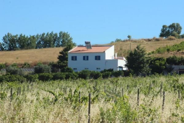 Portugal ~ Beja ~ Vidigueira - (Woon)boerderij