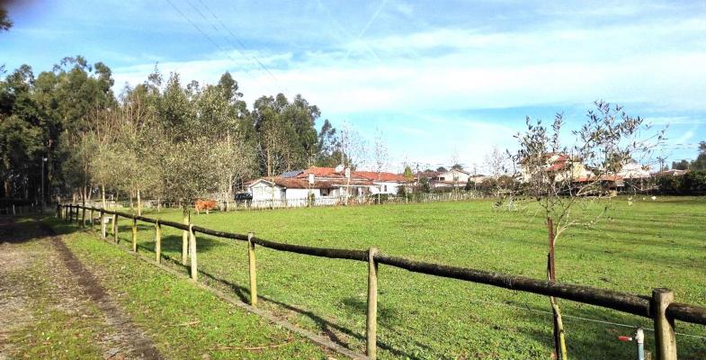 Portugal ~ Braga ~ Vila Nova de Famalico - (Woon)boerderij