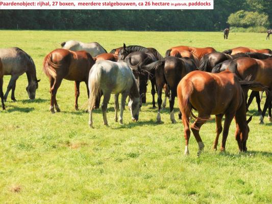 Paarden-object te koop in Duitsland - Nedersachsen - Lneburg - Scharnebeck -  1.700.000
