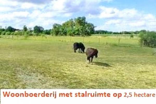 (Woon)boerderij te koop in Duitsland - Nedersachsen - Ost-Friesland - Rhauderfehn -  379.000