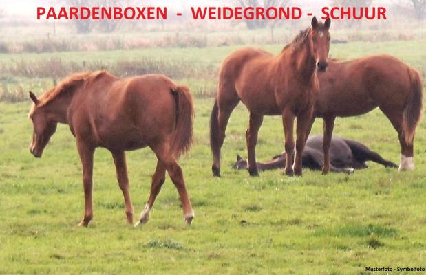 Woonhuis te koop in Duitsland - Nedersachsen - Ost-Friesland - Landkreis Leer -  439.000