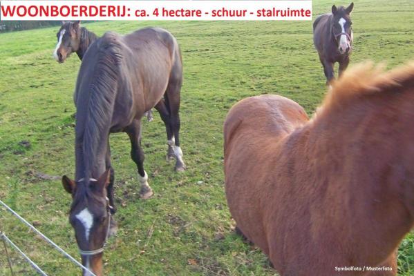 (Woon)boerderij te koop in Duitsland - Nedersachsen - Emsland - Nordhmmling -  540.000
